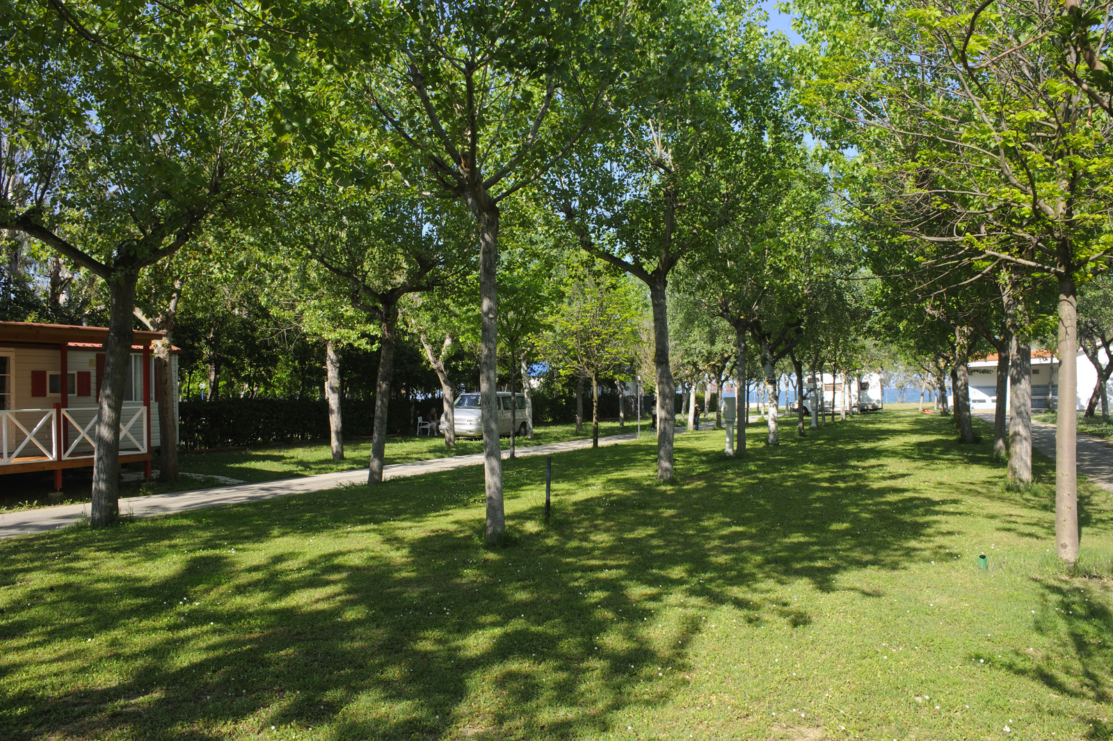 piazzole-blu-surabaja-6