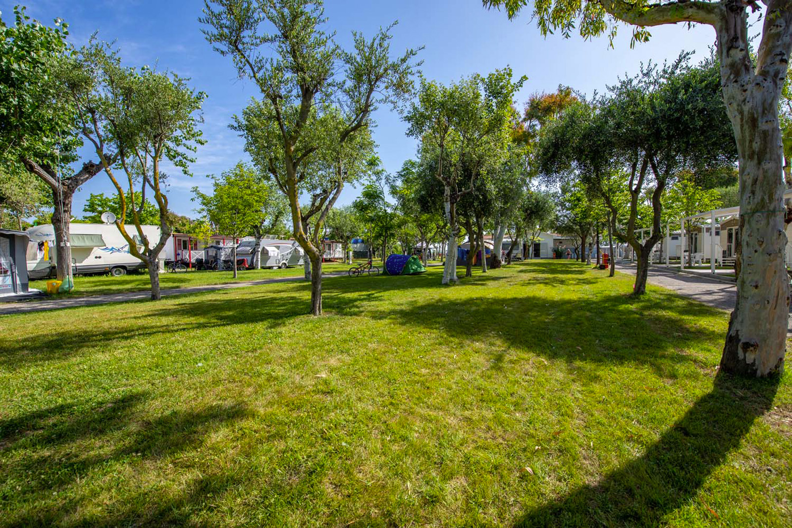 piazzole-gialle-surabaja-11