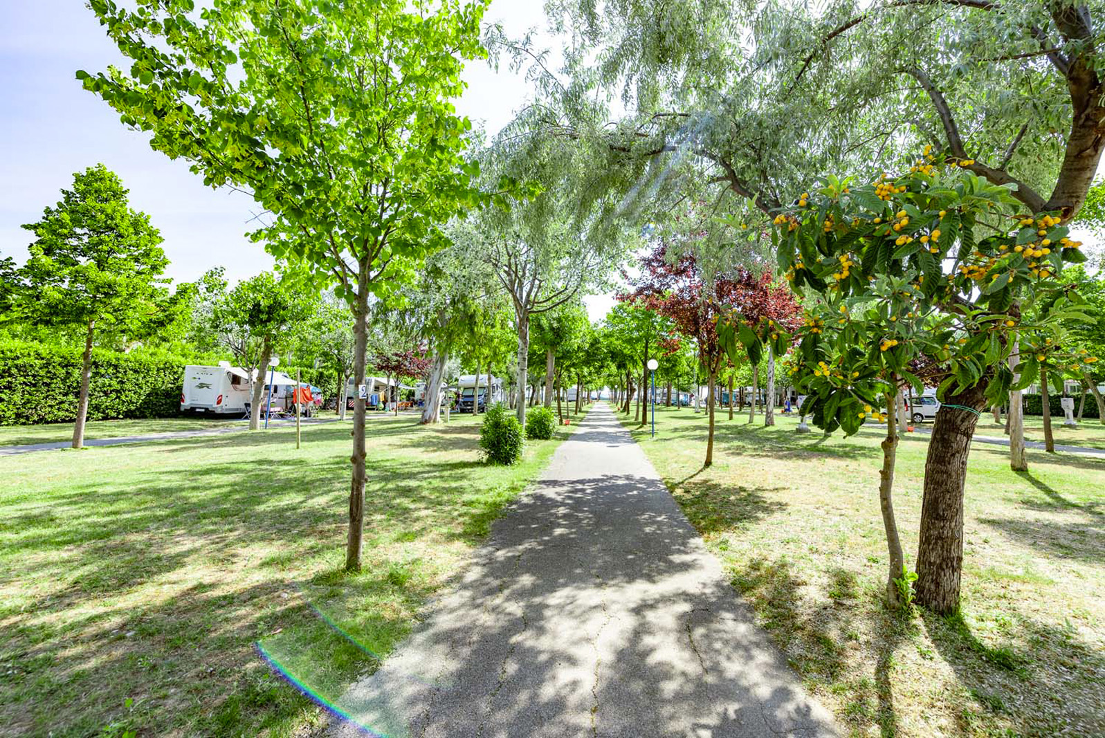 piazzole-gialle-surabaja-19